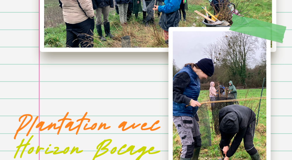 Plantation 1ère CVA Horizon Bocage