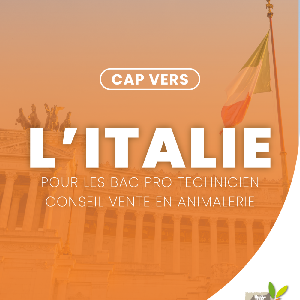 Cap vers les stages en Italie