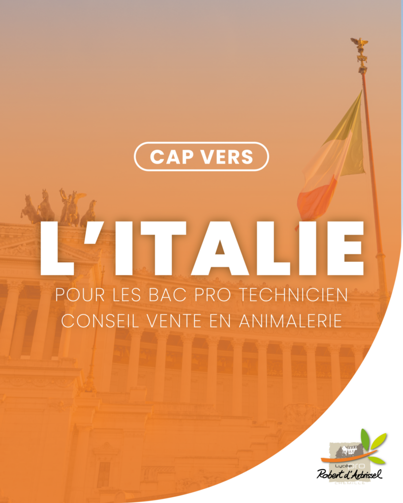 Cap vers les stages en Italie