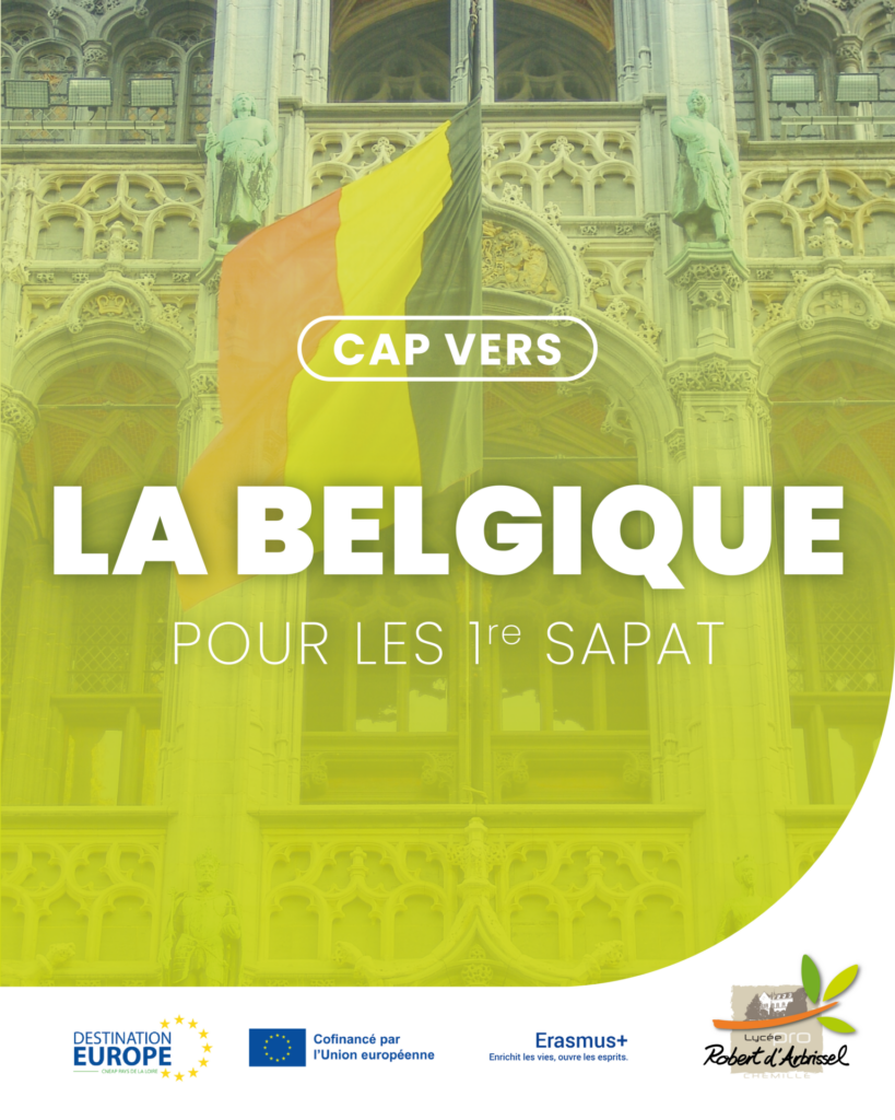 Cap vers les stages en Belgique
