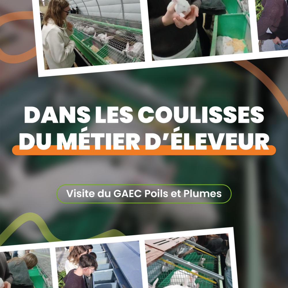 Dans les coulisses du métier d&rsquo;éleveur