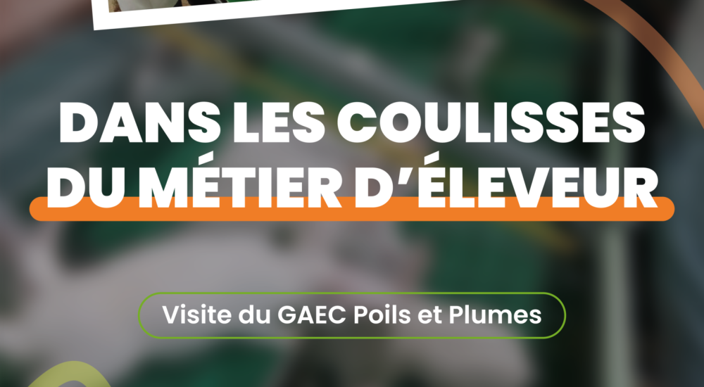 Dans les coulisses du métier d&rsquo;éleveur