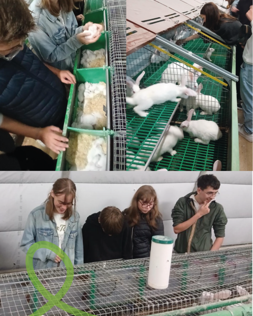 Dans les coulisses du métier d’éleveur