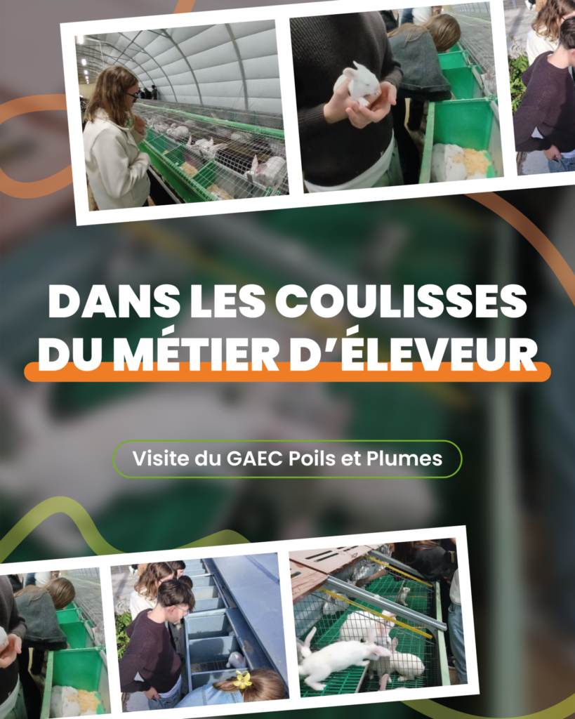 Dans les coulisses du métier d’éleveur
