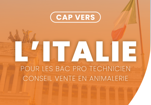 Cap vers les stages en Italie